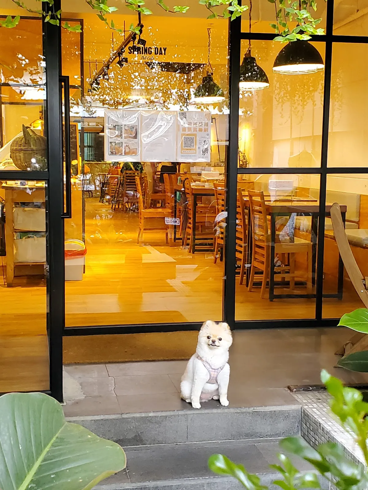 小春日和 動物雜貨‧珈琲