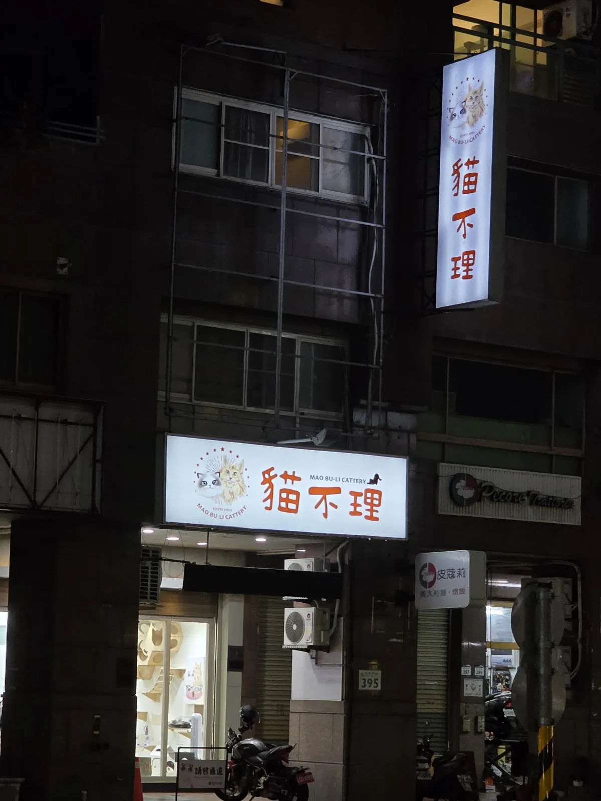 貓不理貓舍