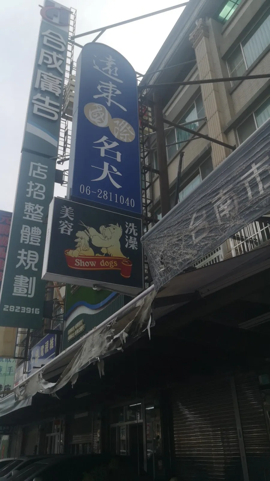 遠東國際名犬