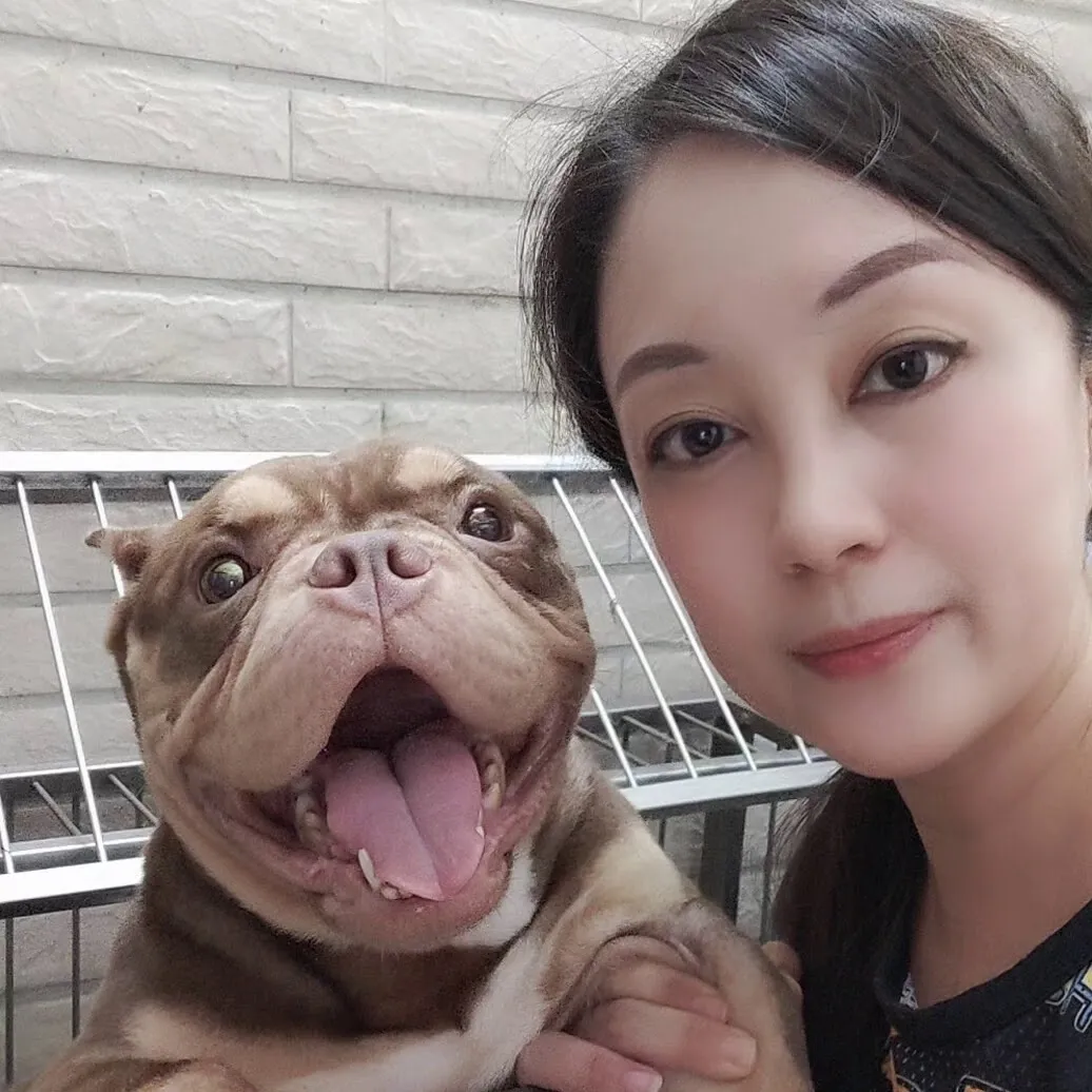 娃娃國犬舍