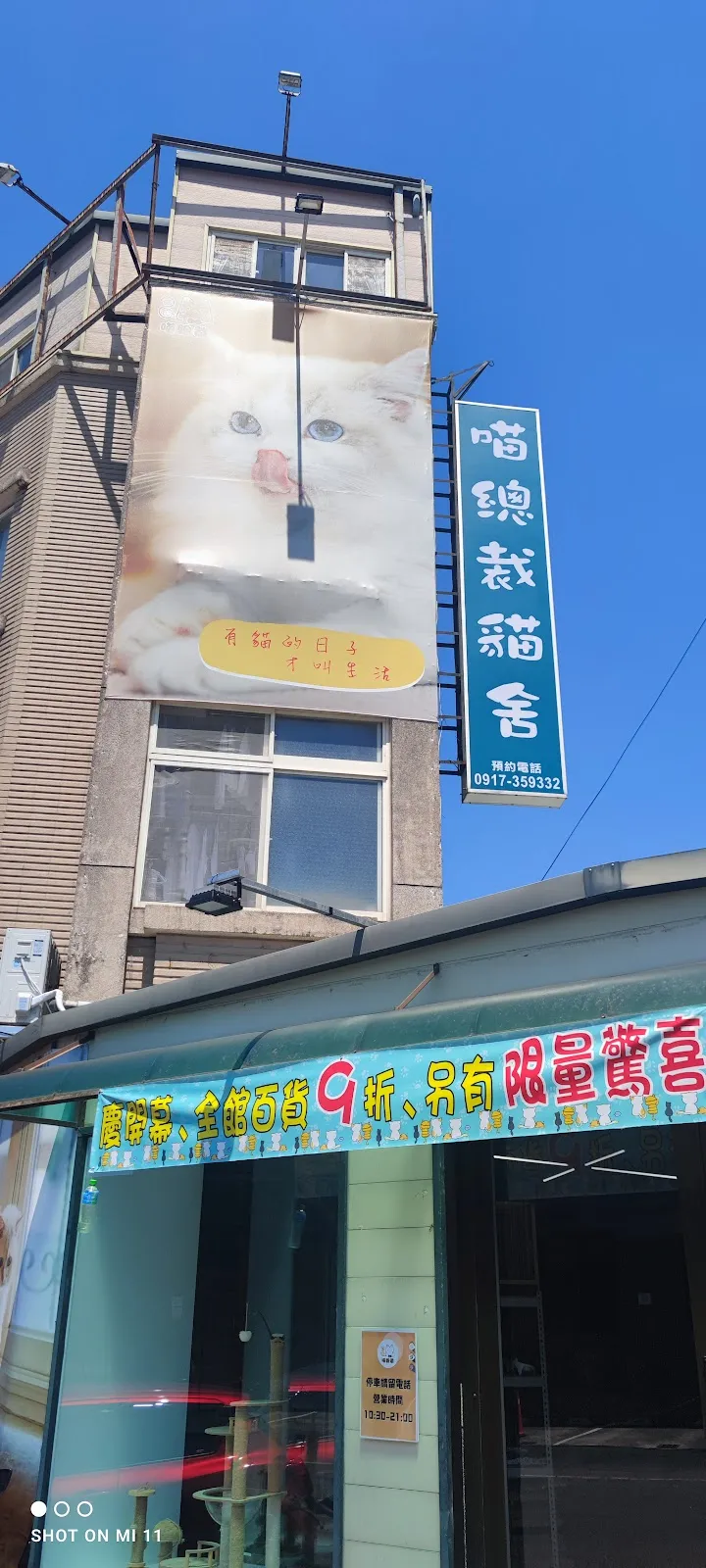喵總裁貓舍