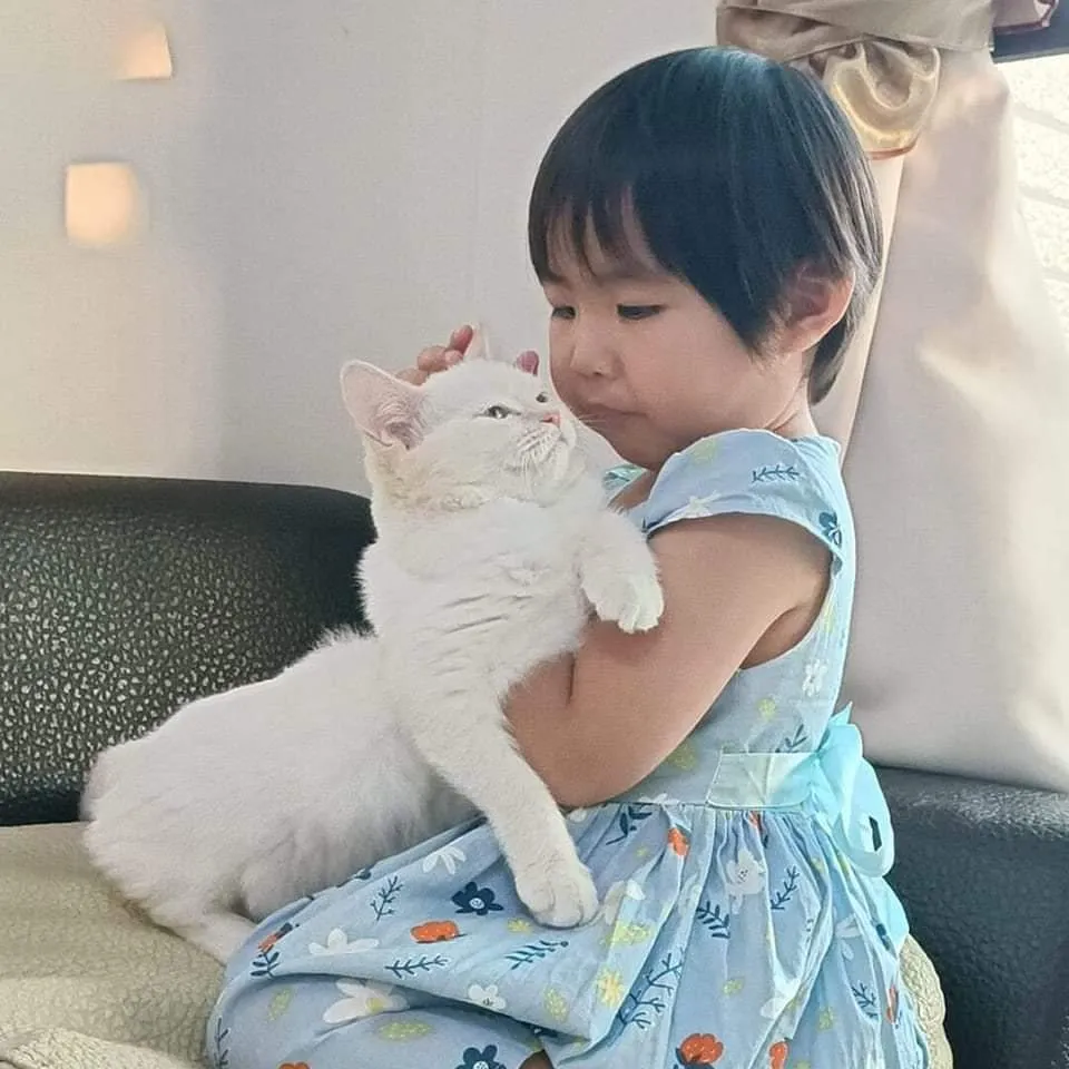 ㄚ噗貓舍