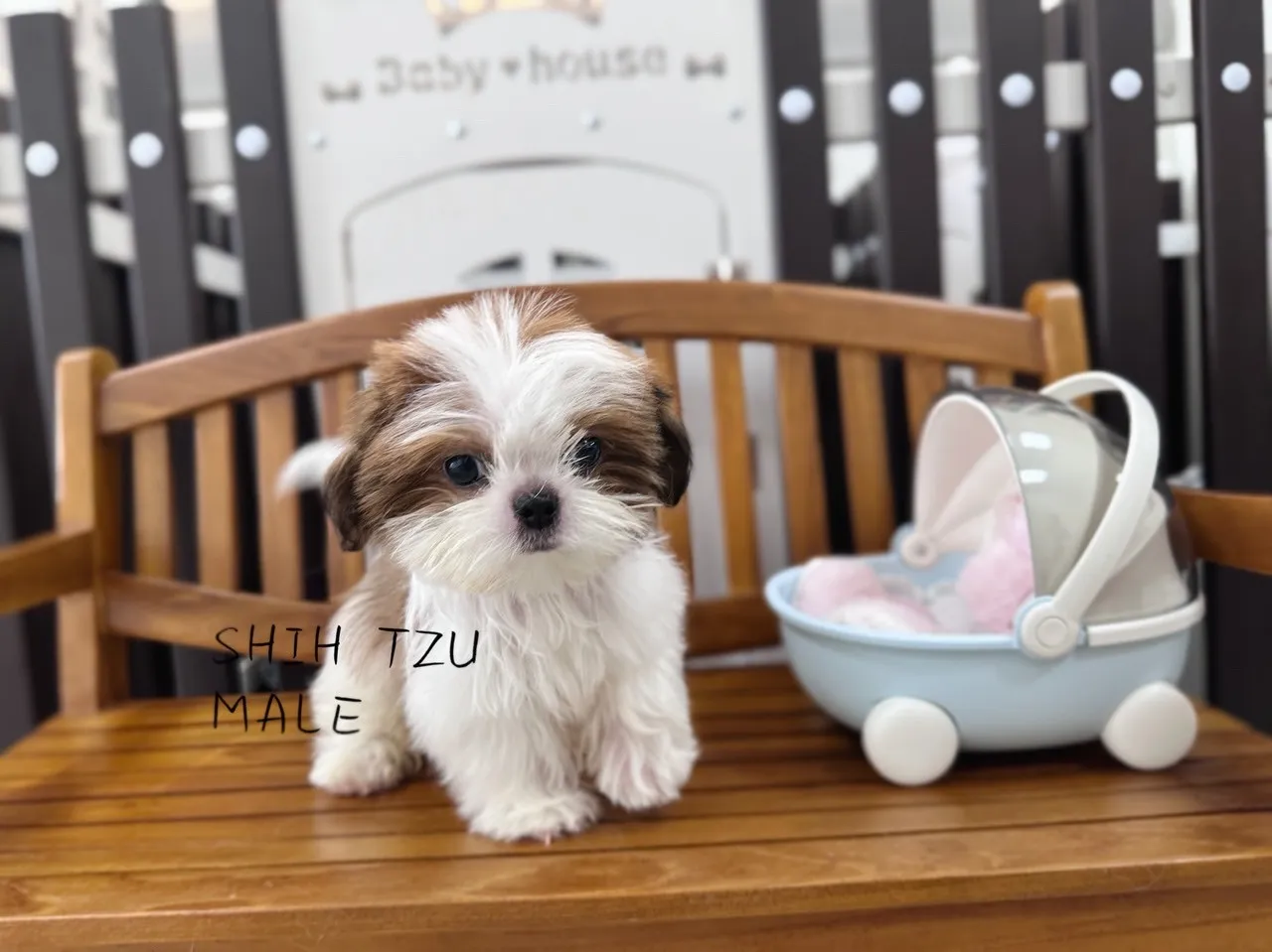 我的寵物精品生活時尚沙龍館
