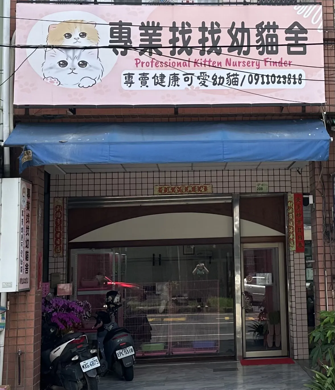 咪亞喵喵貓館