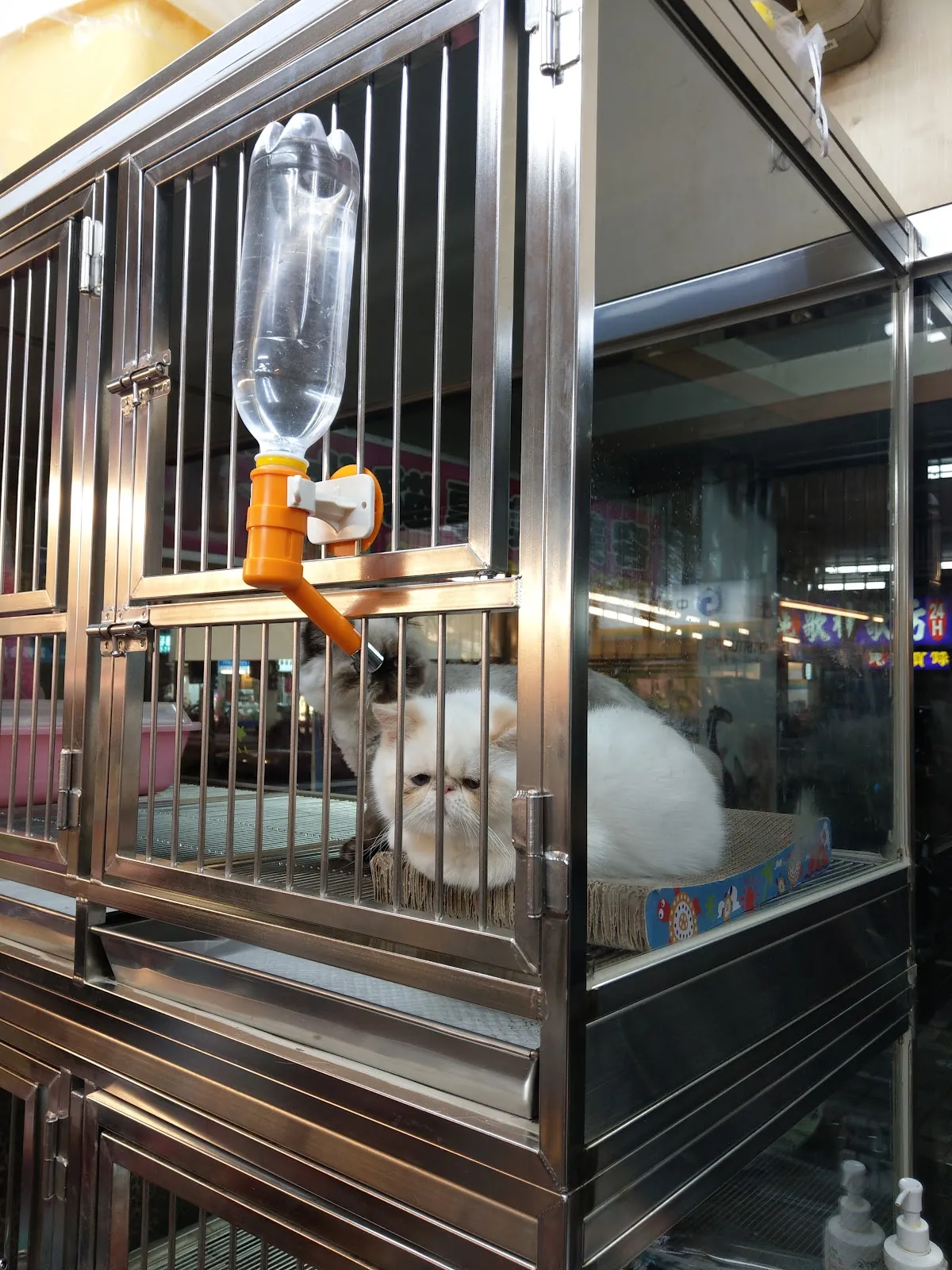 美樂蒂寵物美容用品館