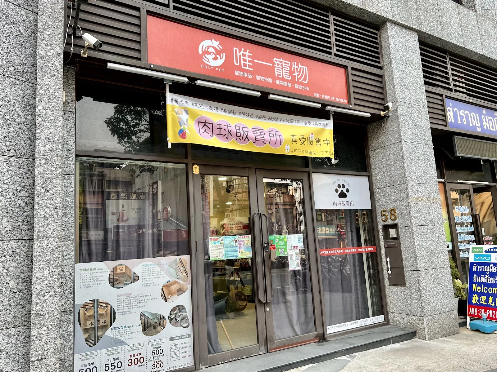 唯一寵物