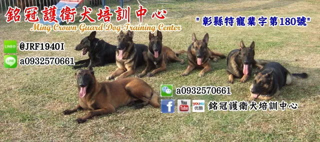銘冠犬舍