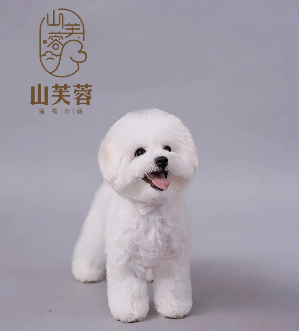山芙蓉寵物沙龍店