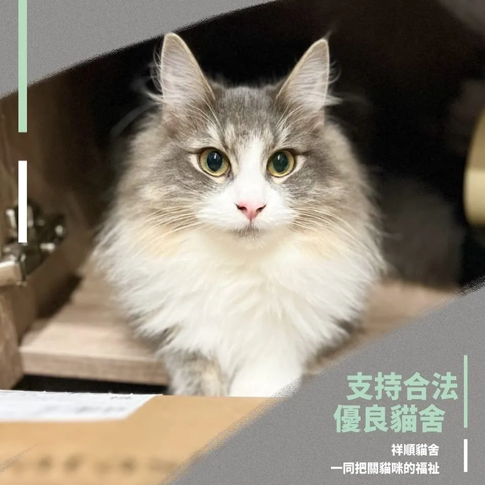 祥順貓舍