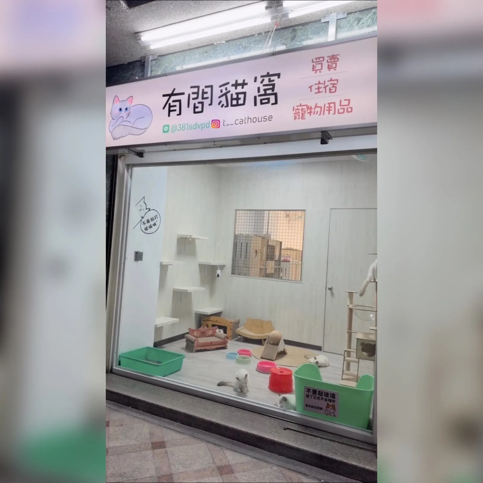 有間貓窩