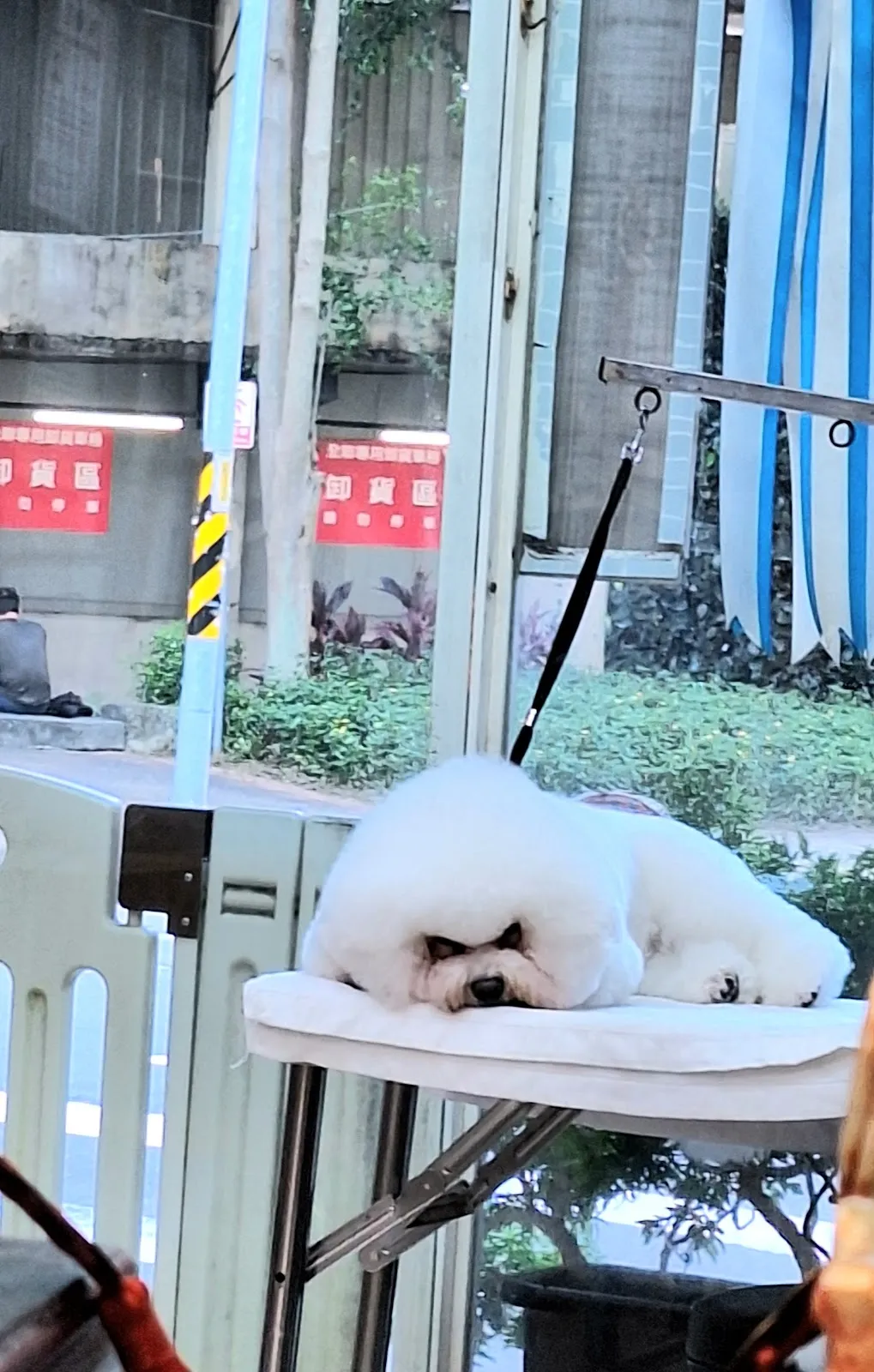 可愛谷寵物生活館
