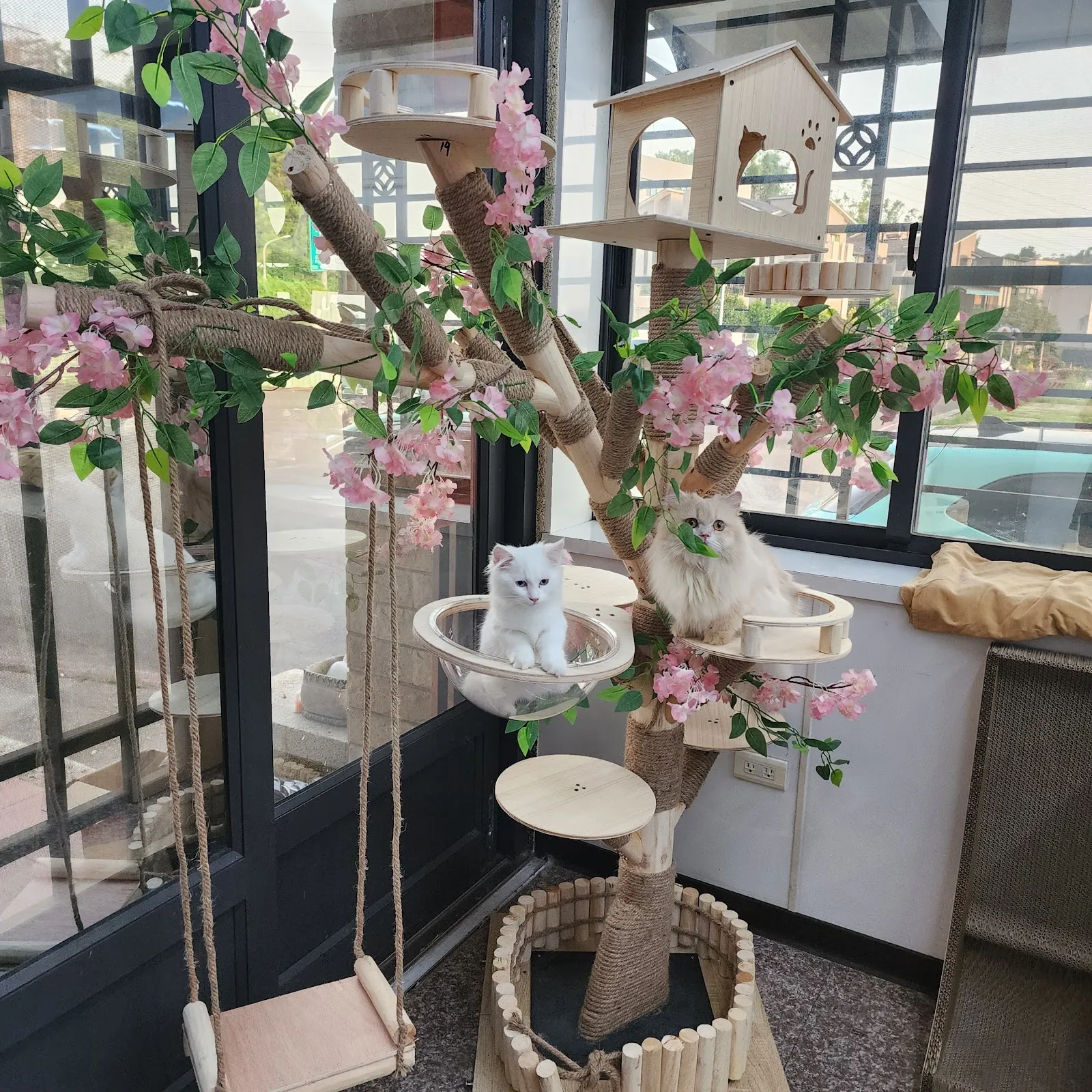 愛無限貓館