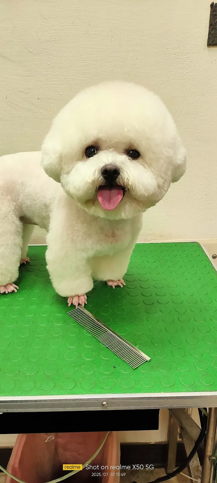 鴻賓寵物美容之家