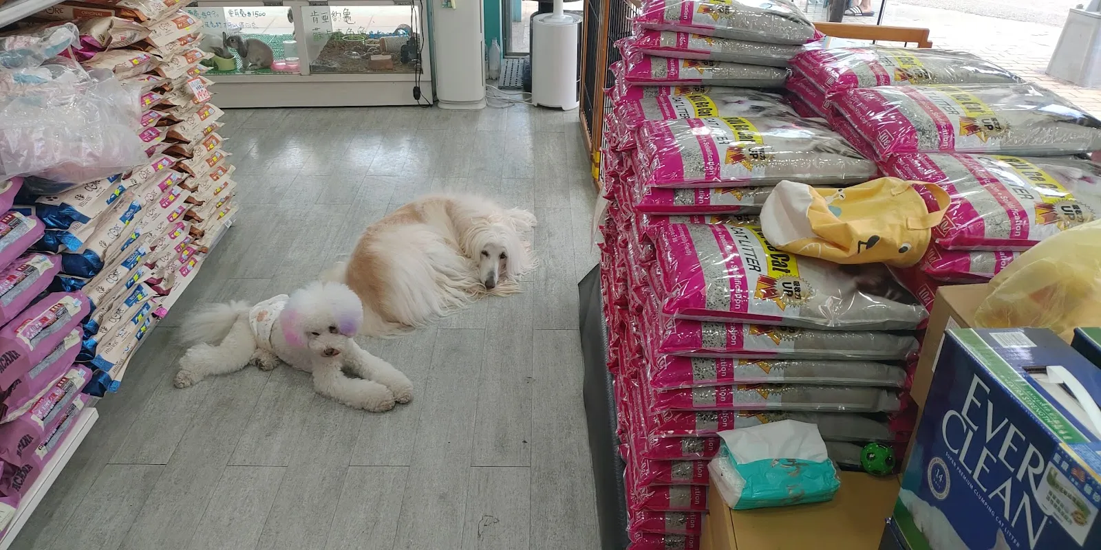 唉唷媽媽寵物生活館