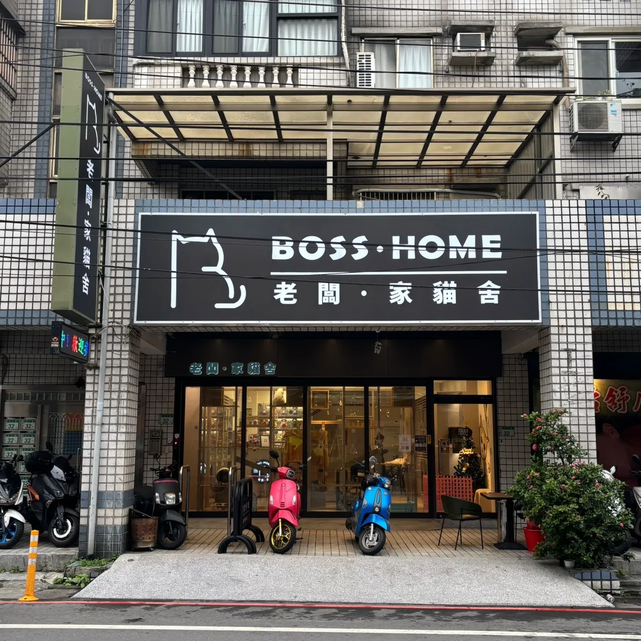 老闆家貓舍