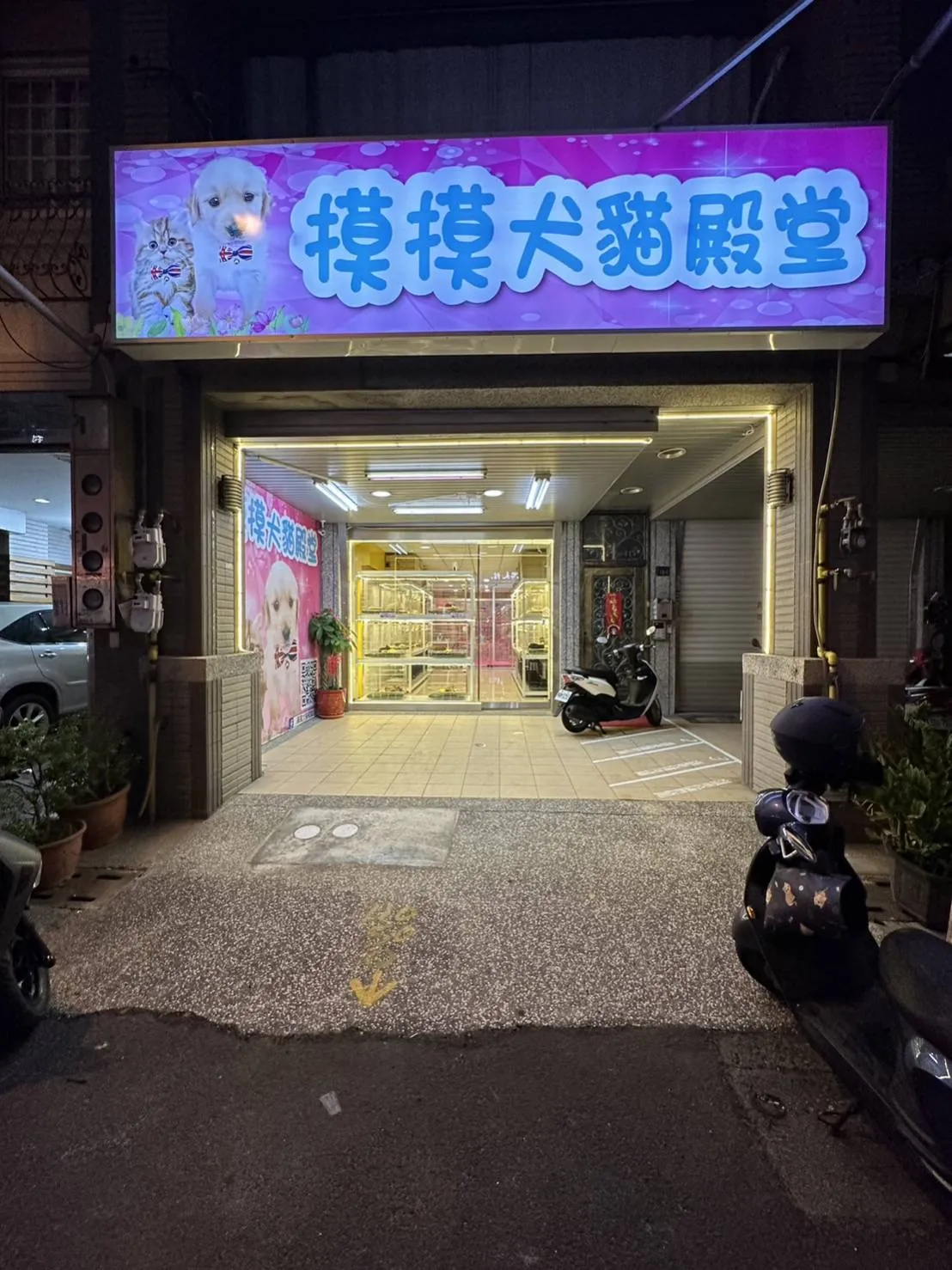 摸摸犬貓殿堂