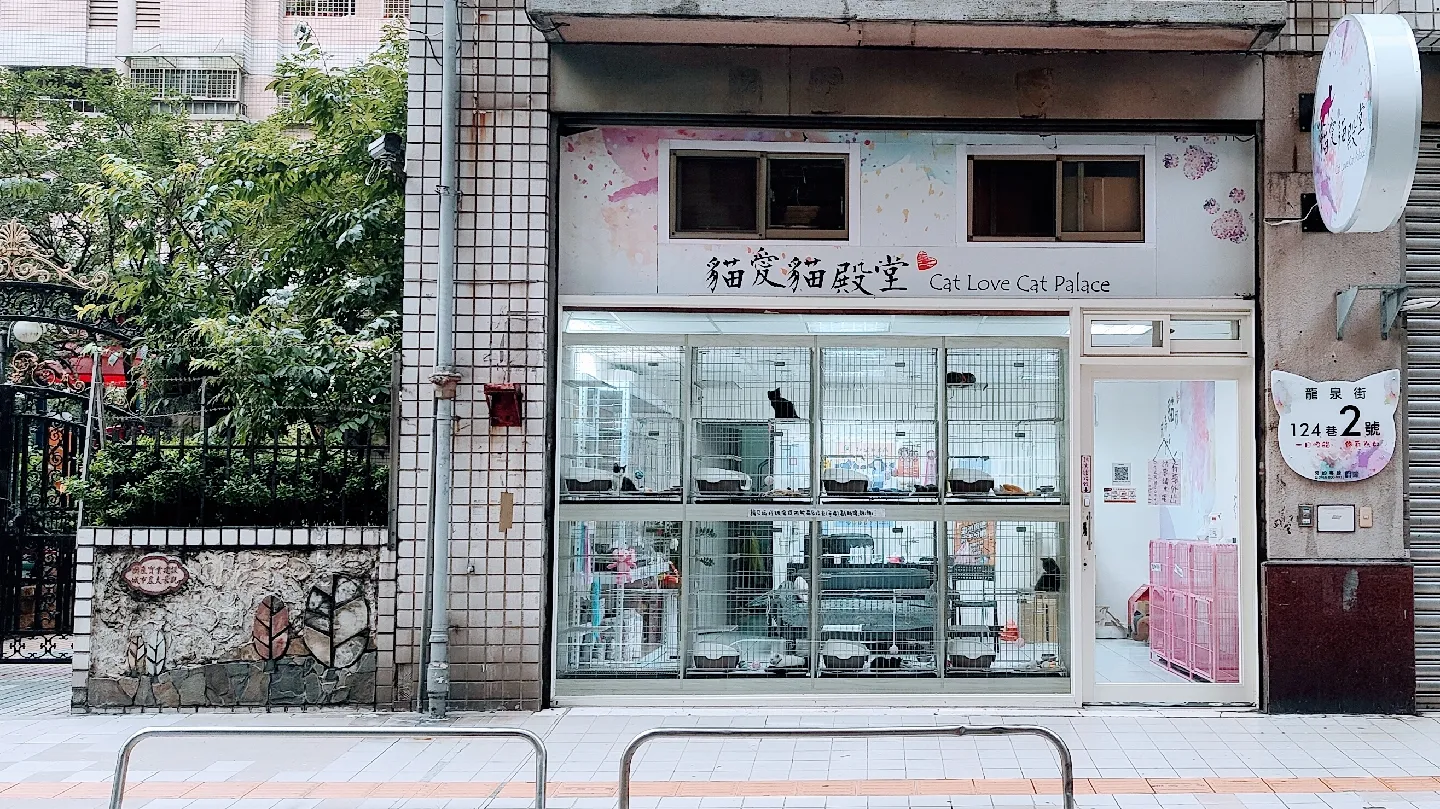 貓愛貓殿堂