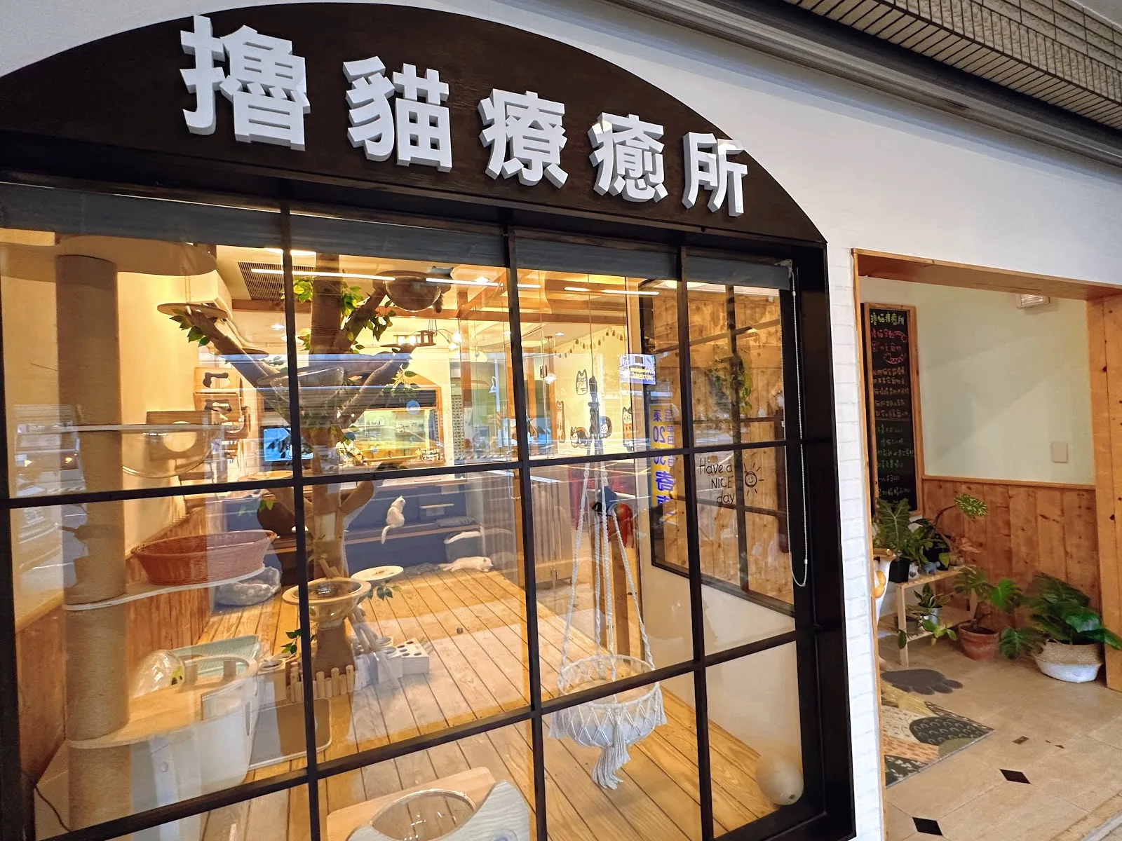 大埔萌貓舍