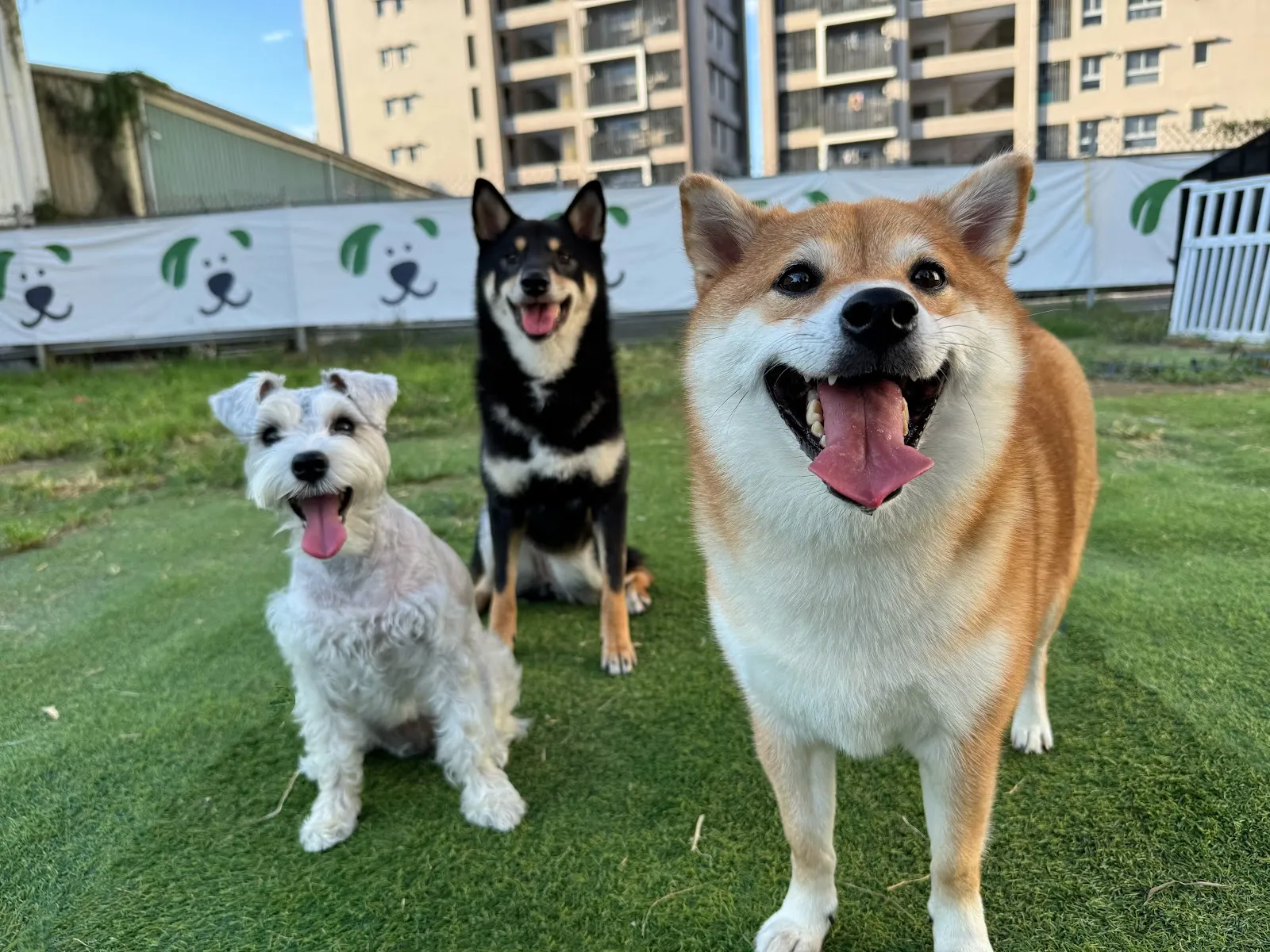 自遊自宅寵物住宿