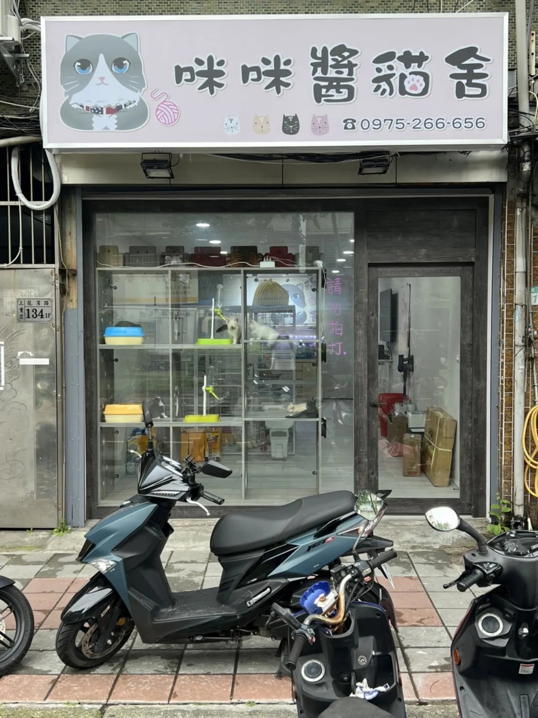 奶油米貓舍