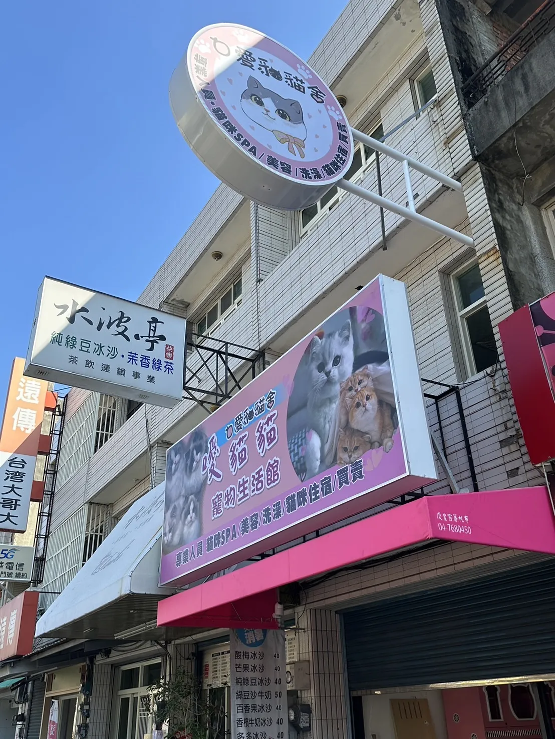 荳荳貓舍