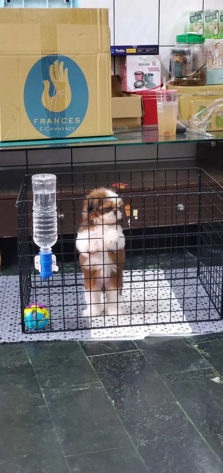 里港滿憶犬舍
