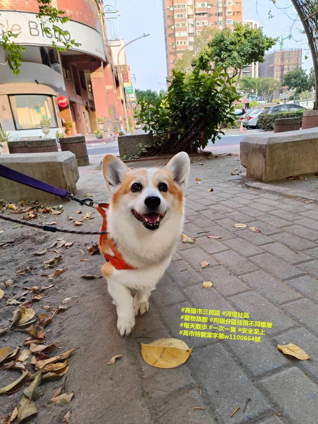 富匠寵物生活館