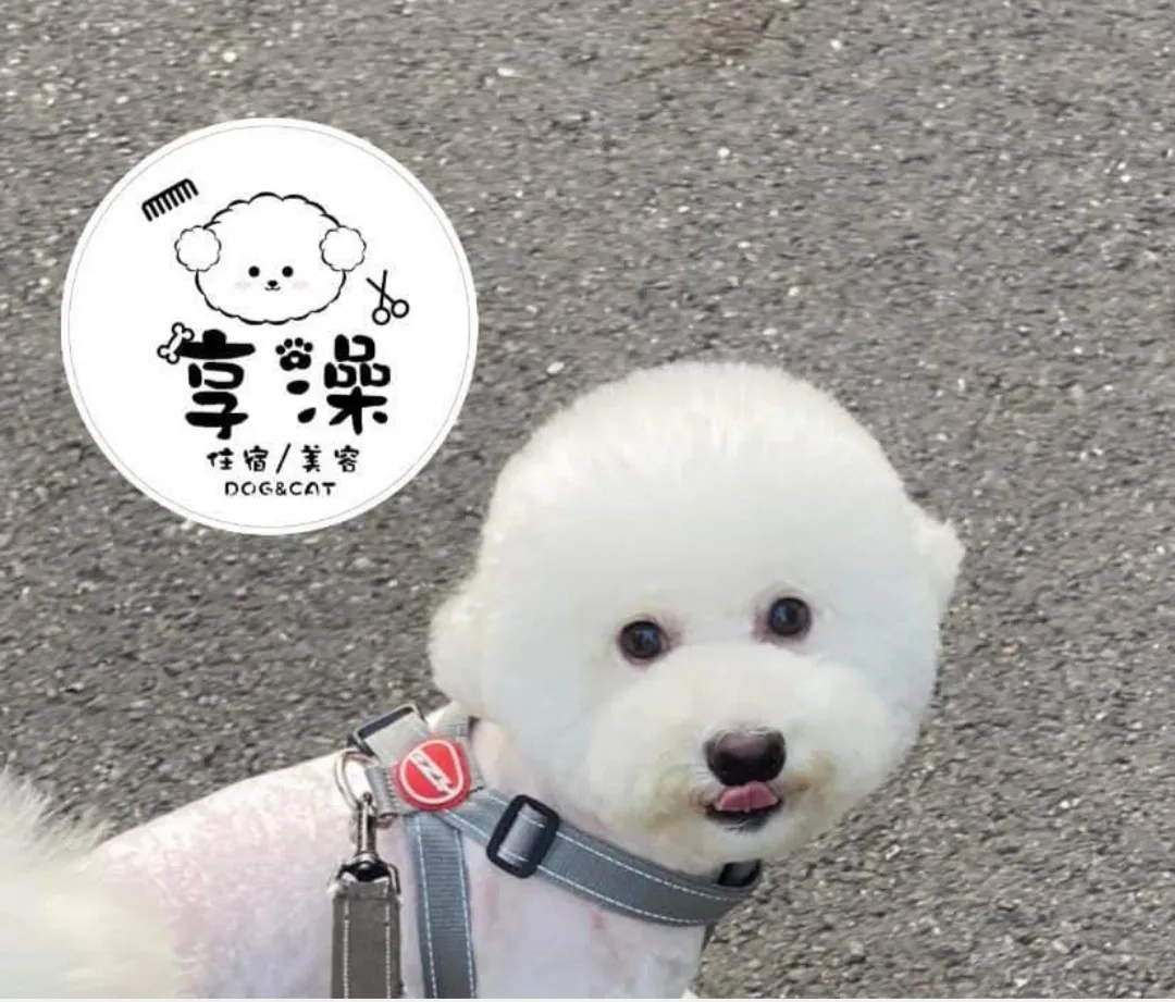 享澡貓舍