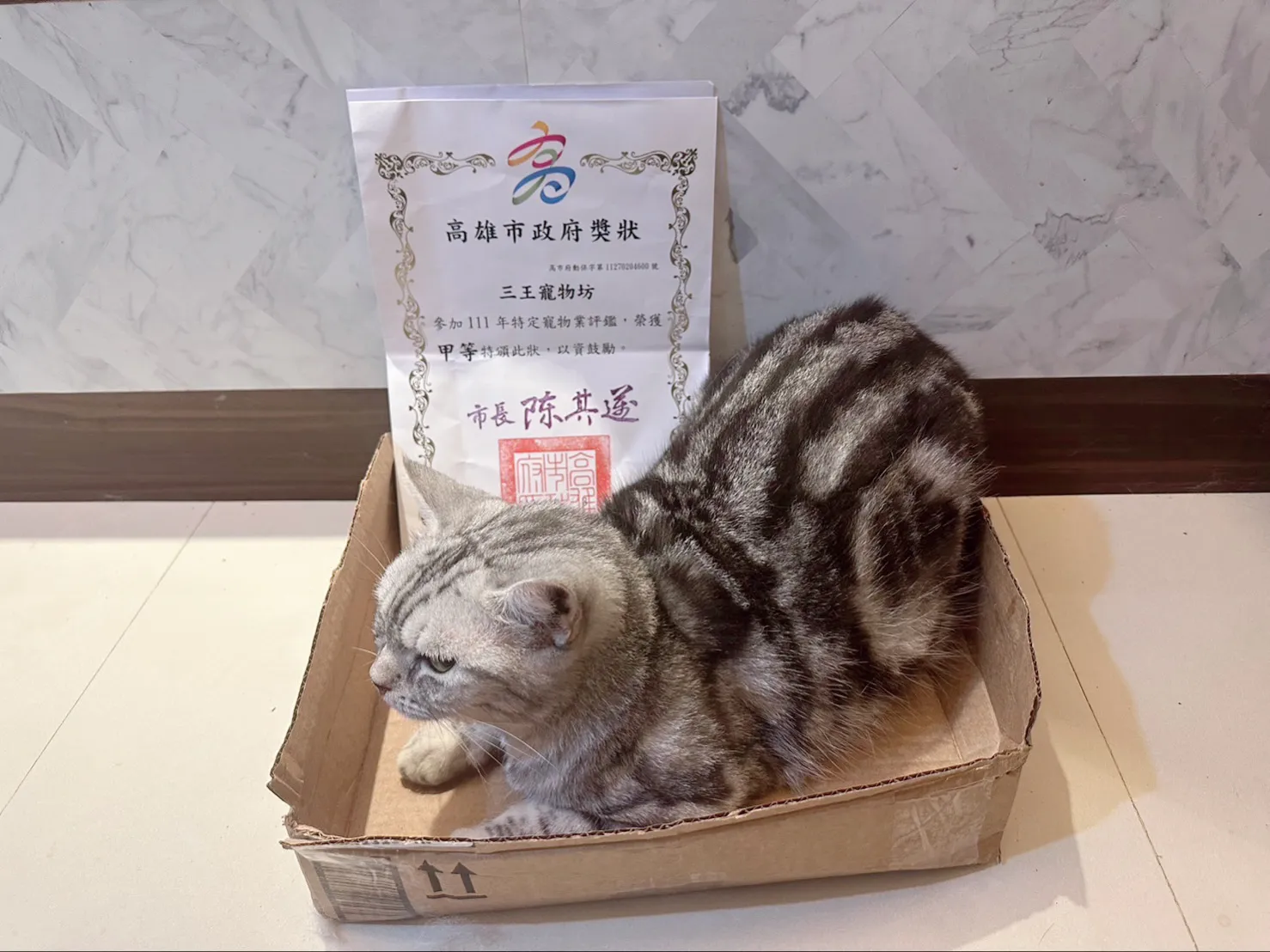 吉三王寵物坊
