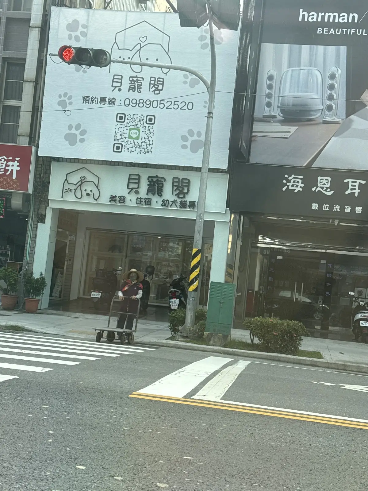 星寵閣企業社