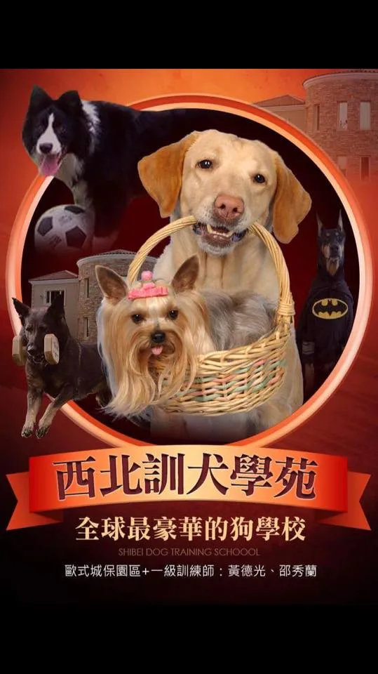 邵秀蘭訓犬學苑