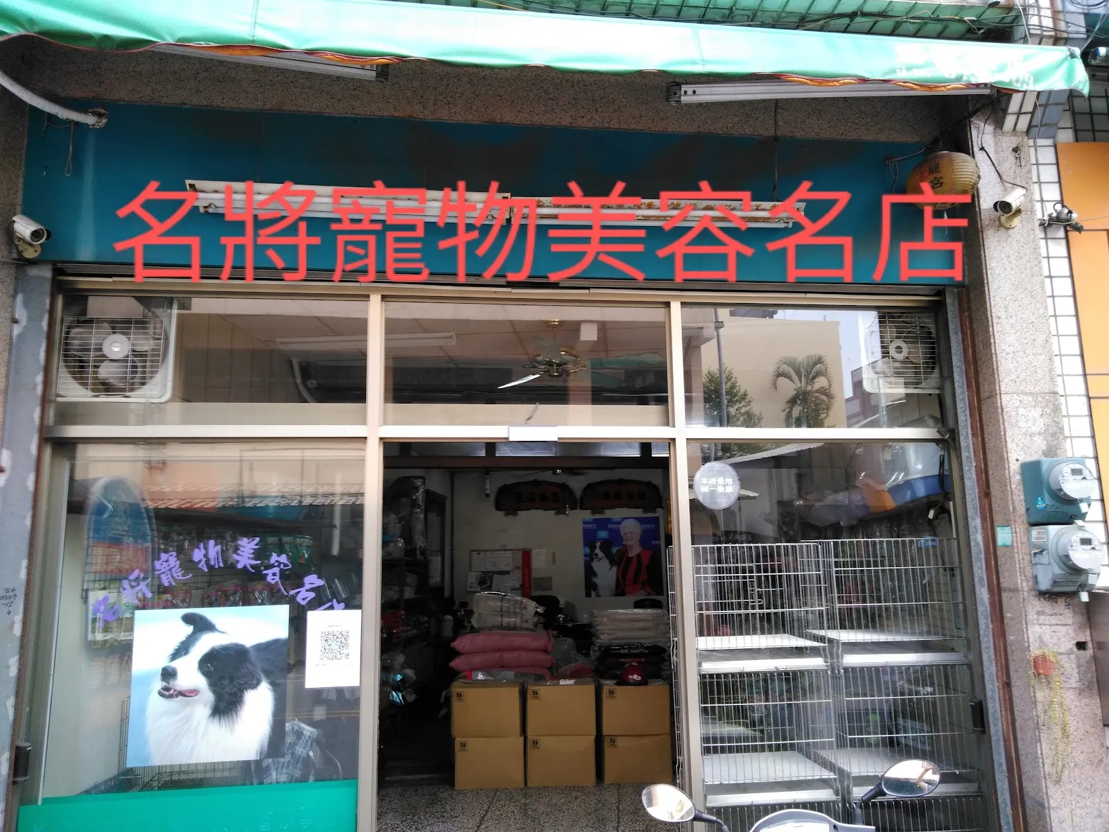 名將寵物美容名店