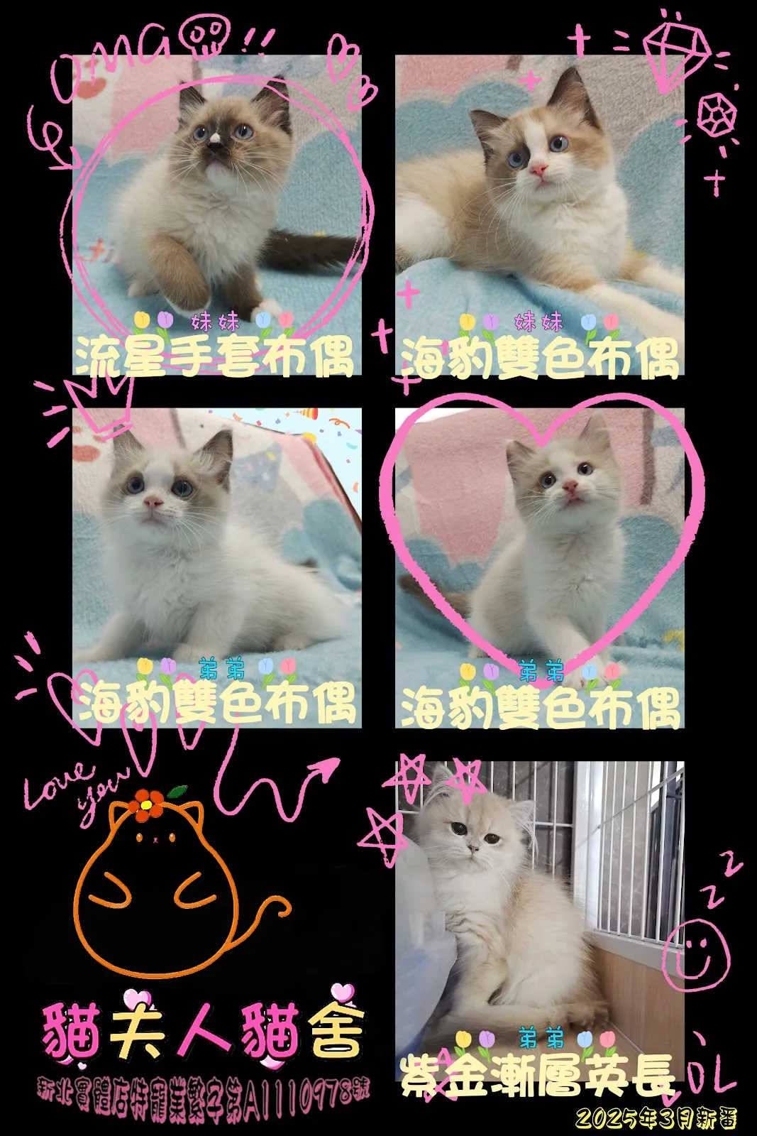 妮飛貓舍