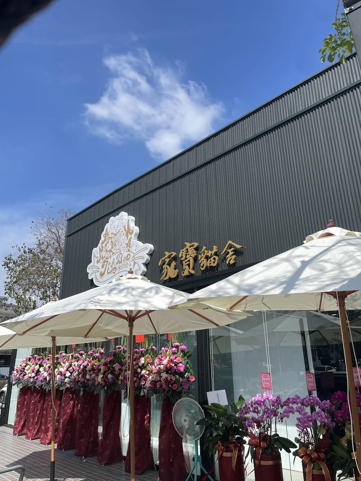 布專業貓屋