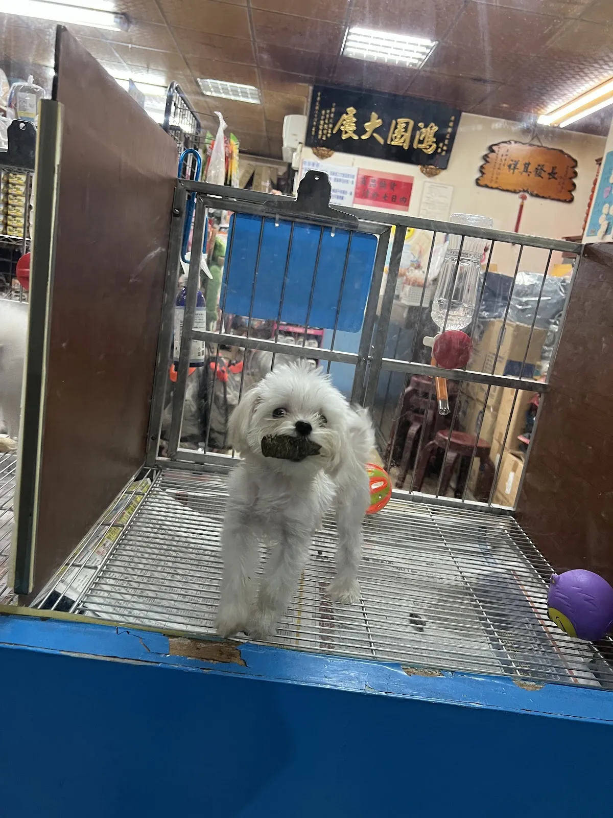 宏憶寵物精品坊