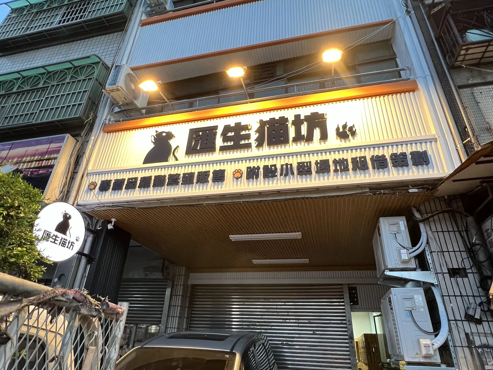 罐頭爺爺貓