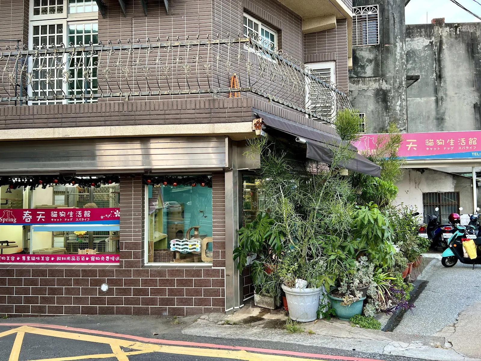 妙春寵物店
