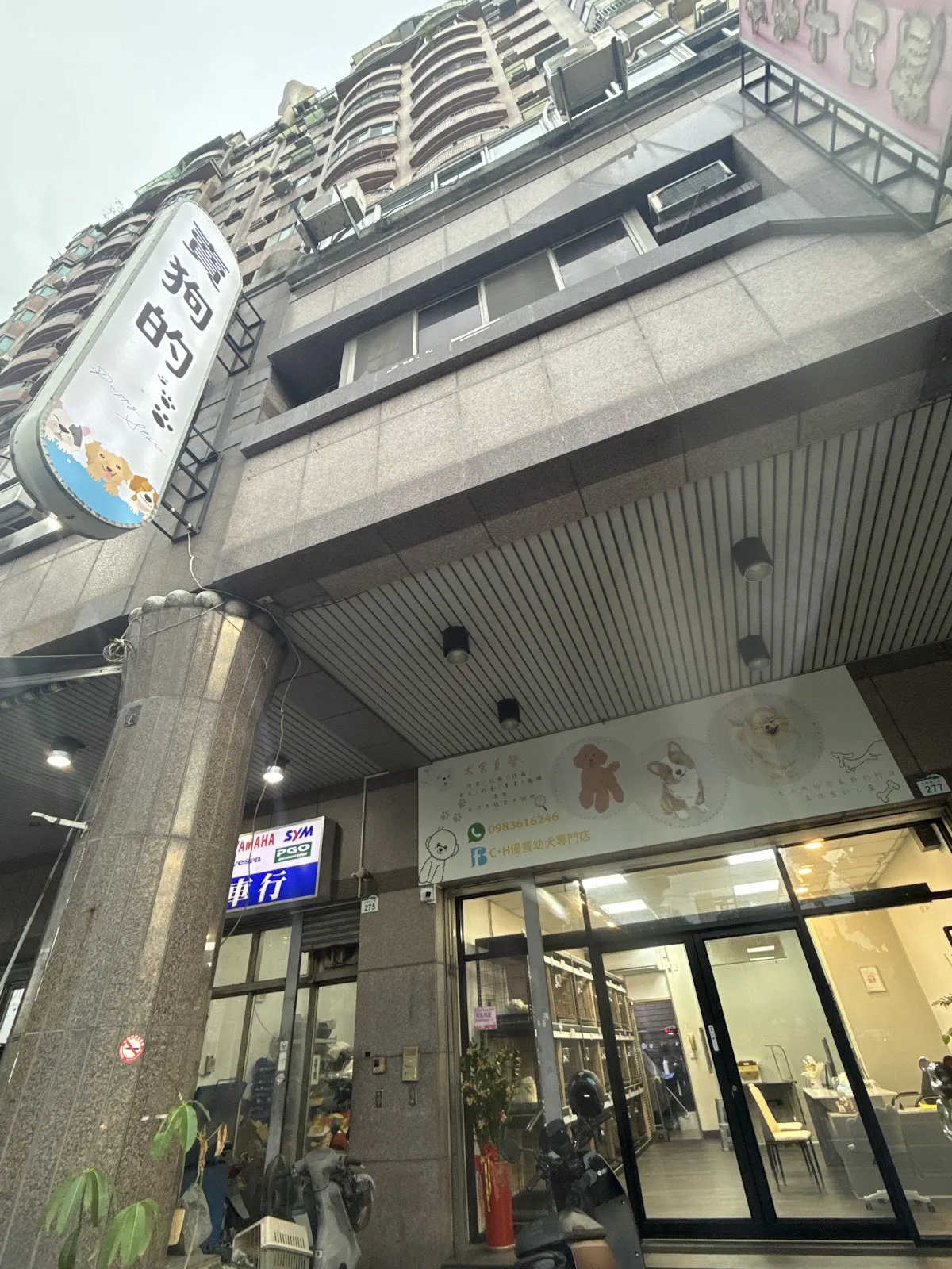 優質幼犬專賣