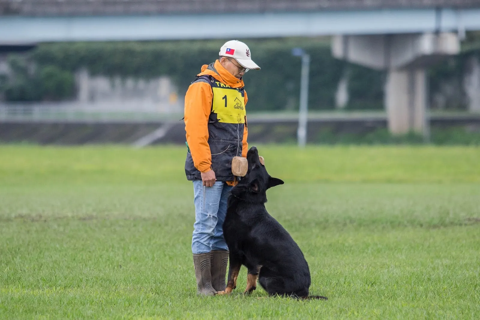 翰林愛犬坊