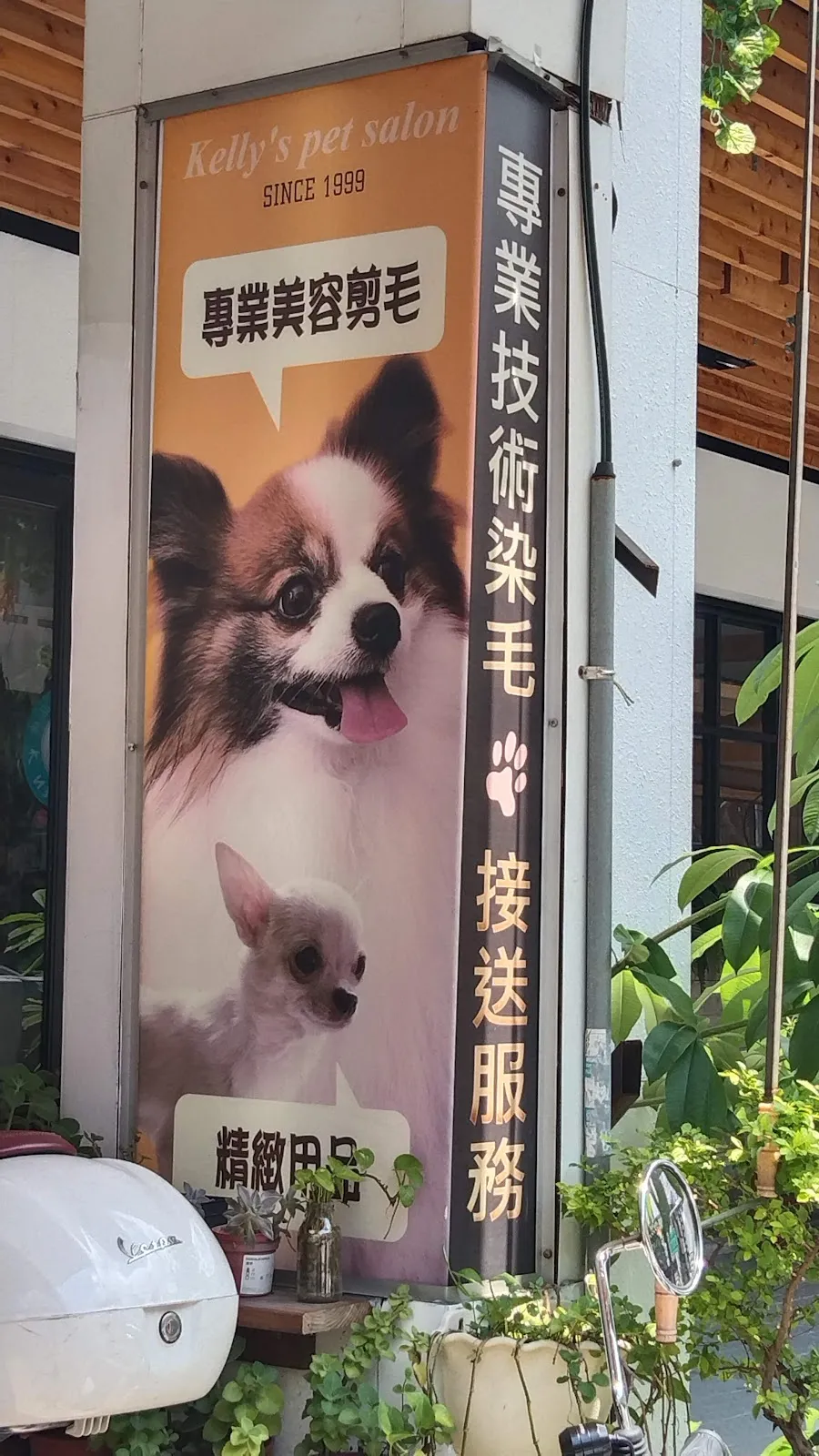 可麗愛犬美容屋