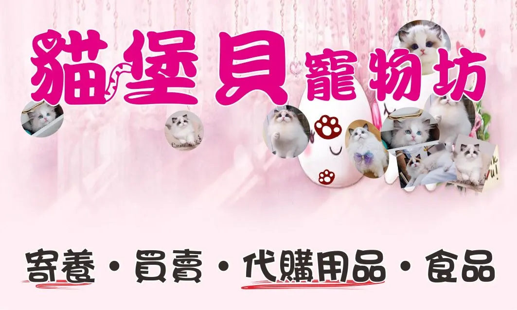 貓堡貝寵物坊