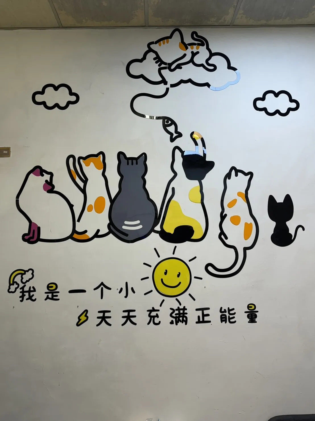 新晨貓舍