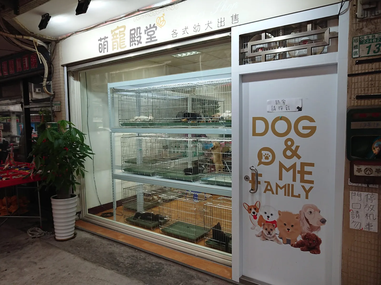 寵萌殿堂 