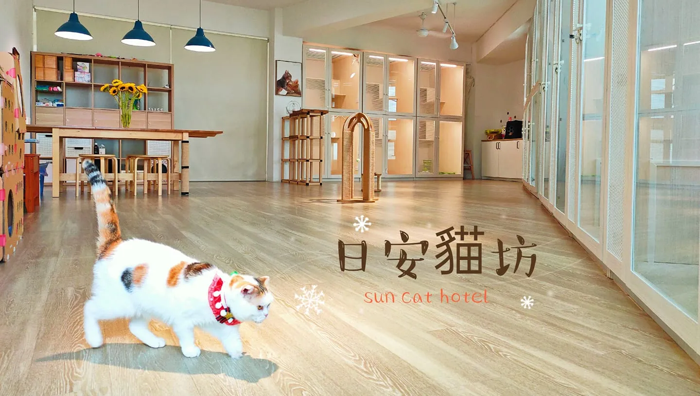 日安貓坊