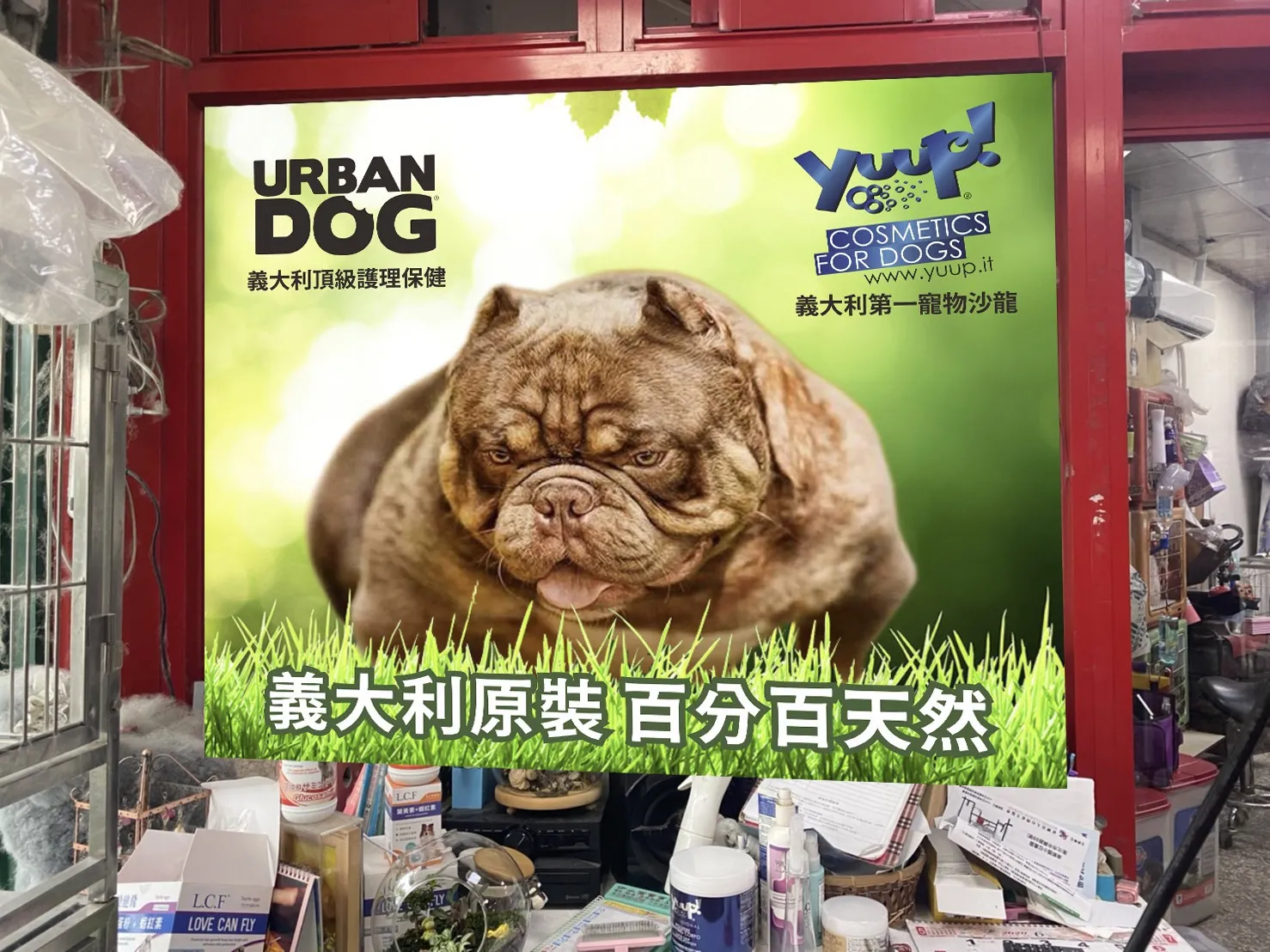 金犬寵物用品社