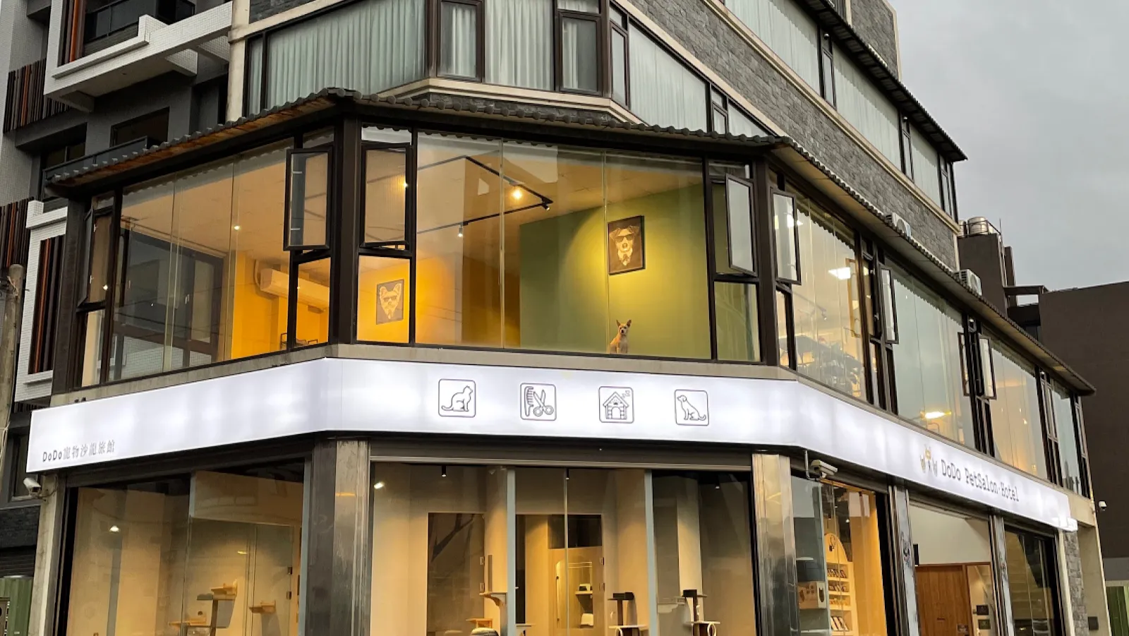 DoDo寵物沙龍旅館