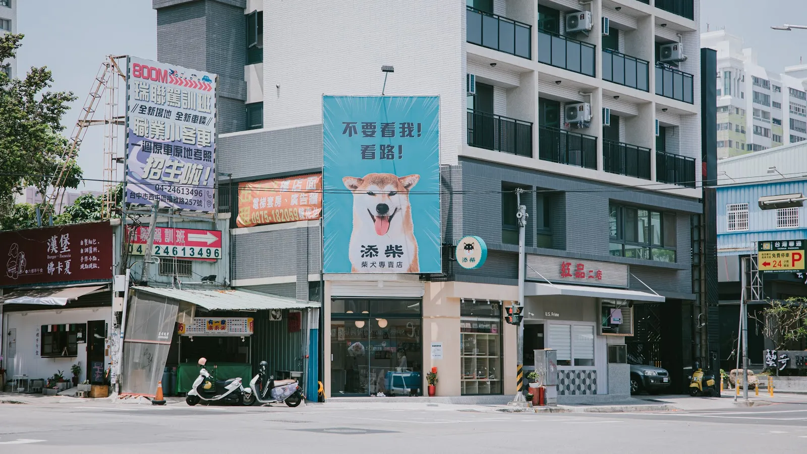 添柴日本柴犬專賣店