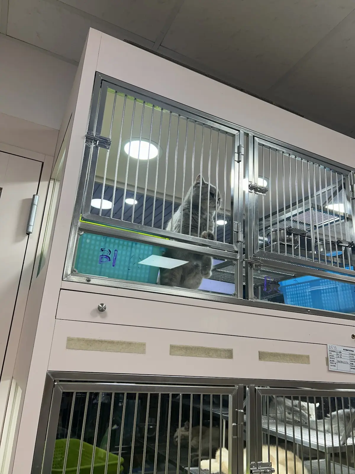 心寵兒企業社