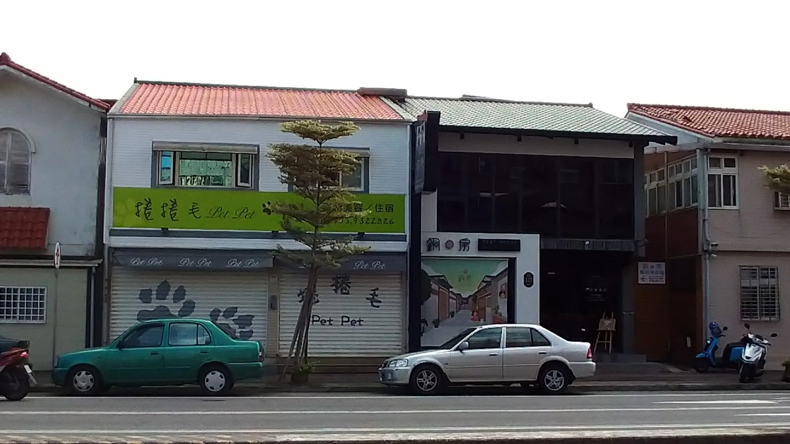 捲捲毛寵物