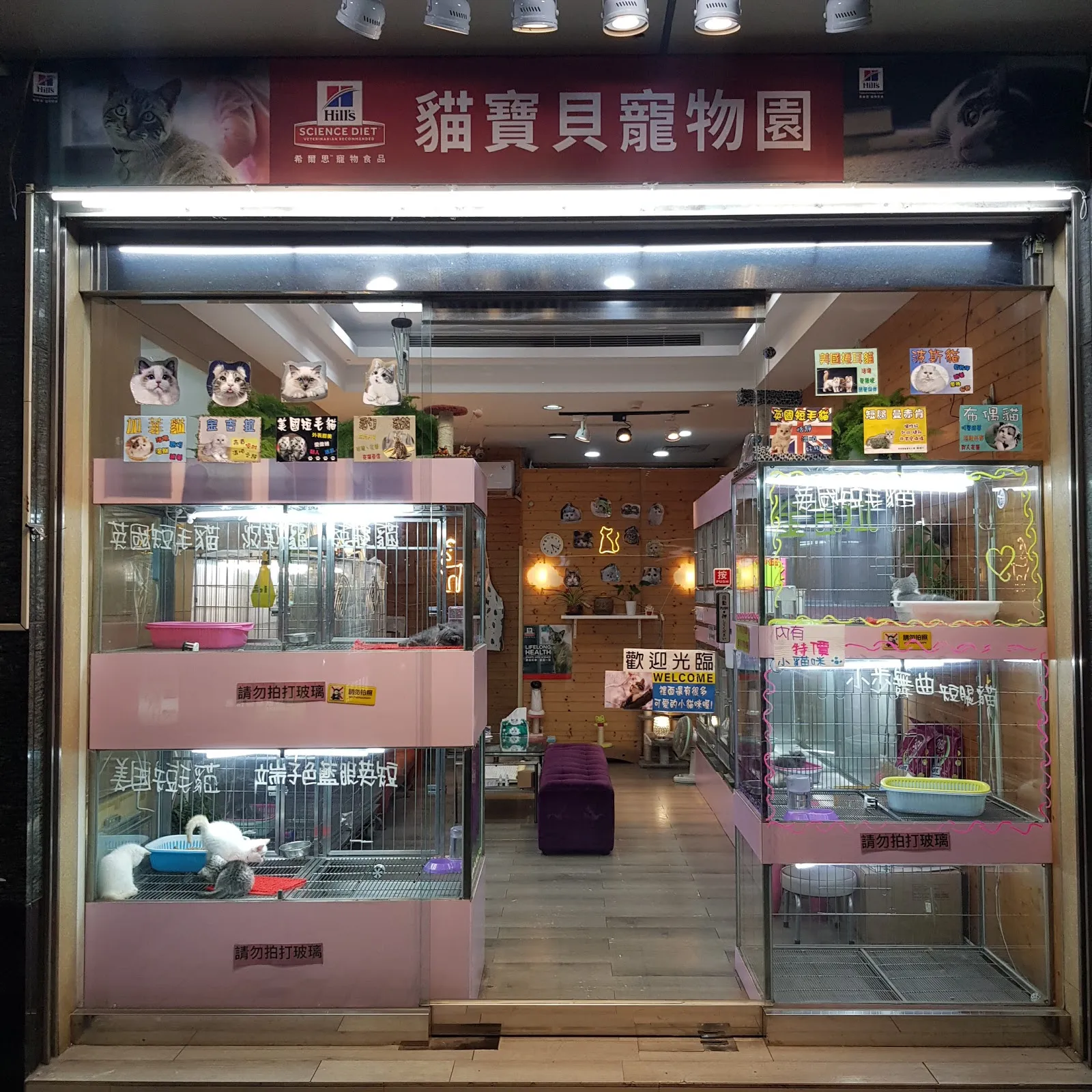 貓寶貝寵物園
